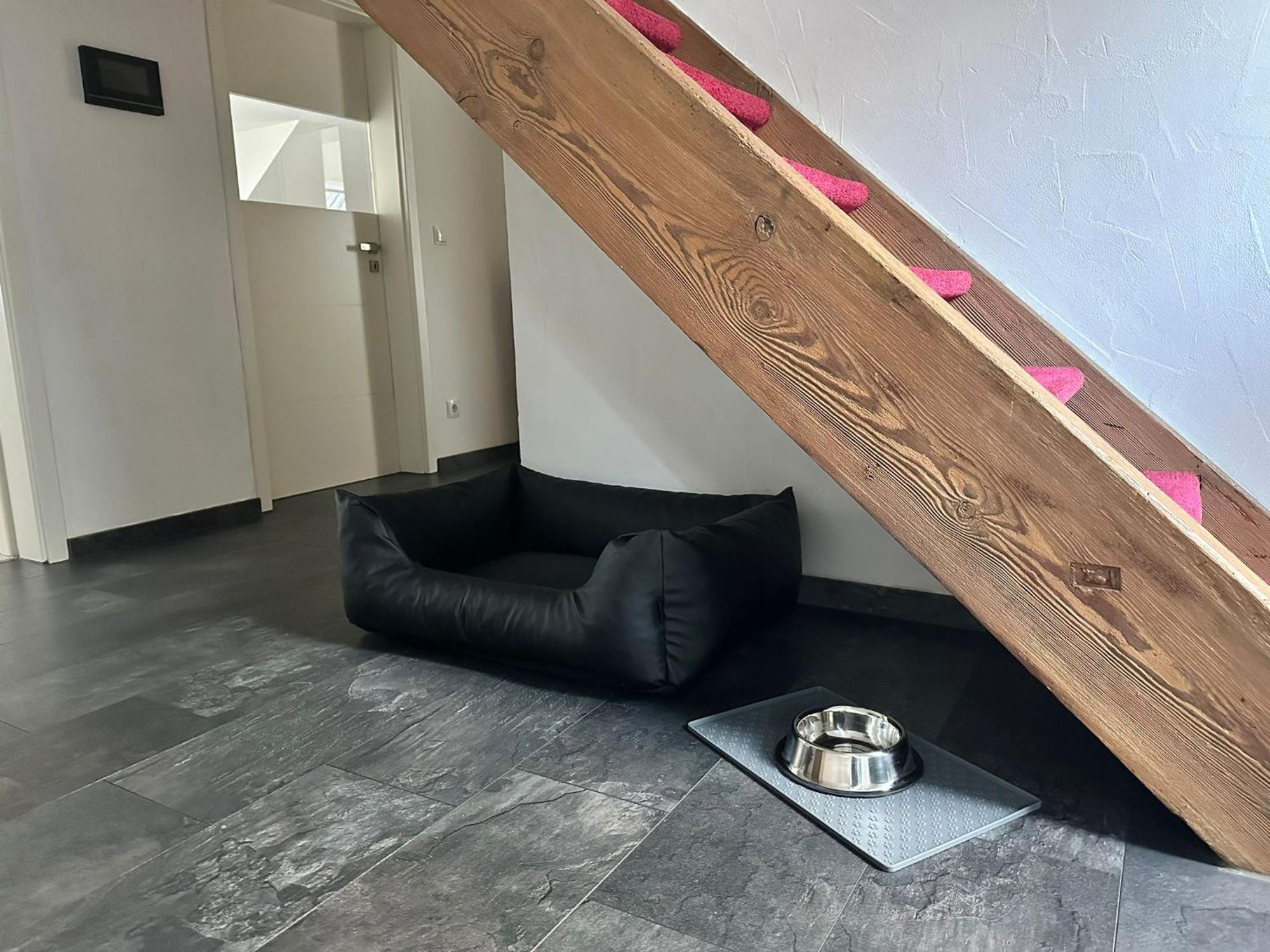 Ferienwohnung Parkblick 巴特埃尔斯特 外观 照片