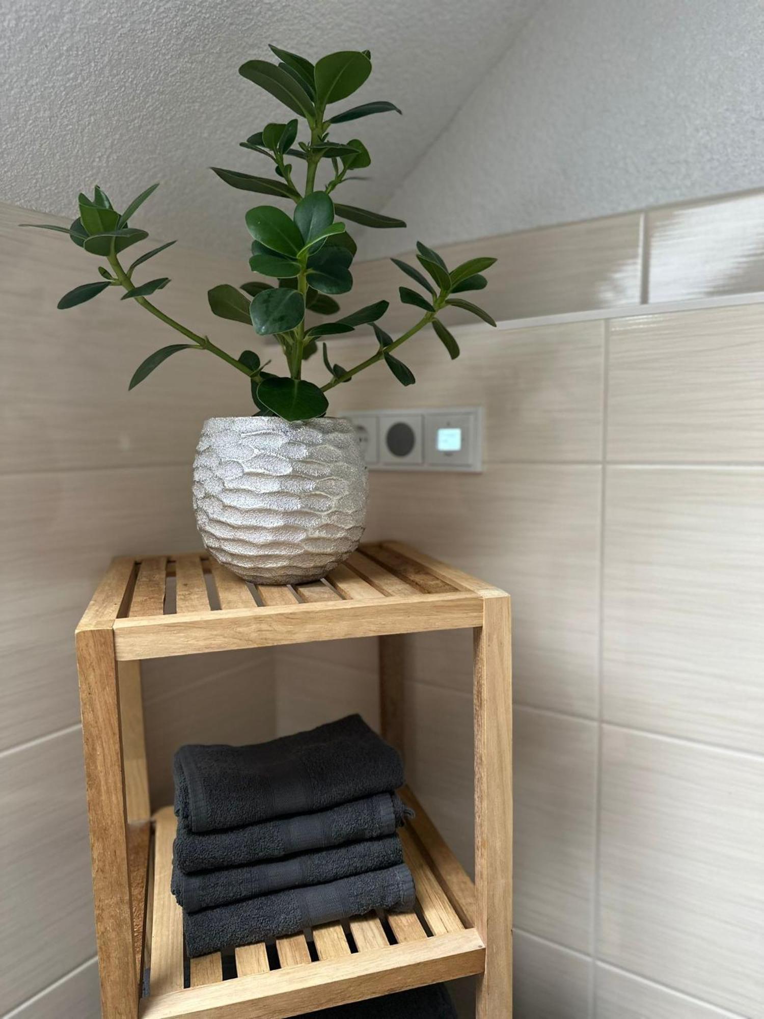 Ferienwohnung Parkblick 巴特埃尔斯特 外观 照片